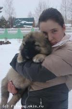 Алмазный Блеск 